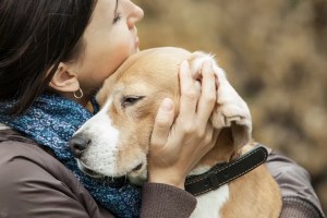 parazitli bir köpeğe sarılmak